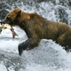 Illustration for article titled Once Upon A Time In A Bear (simulator)